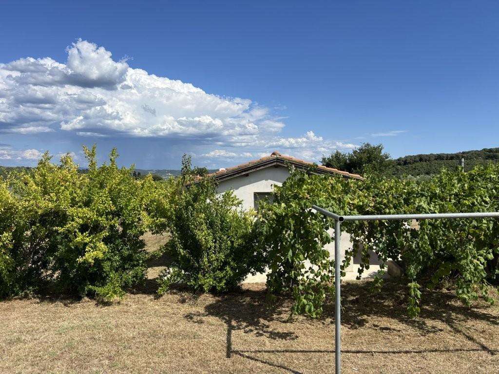  - foto 52