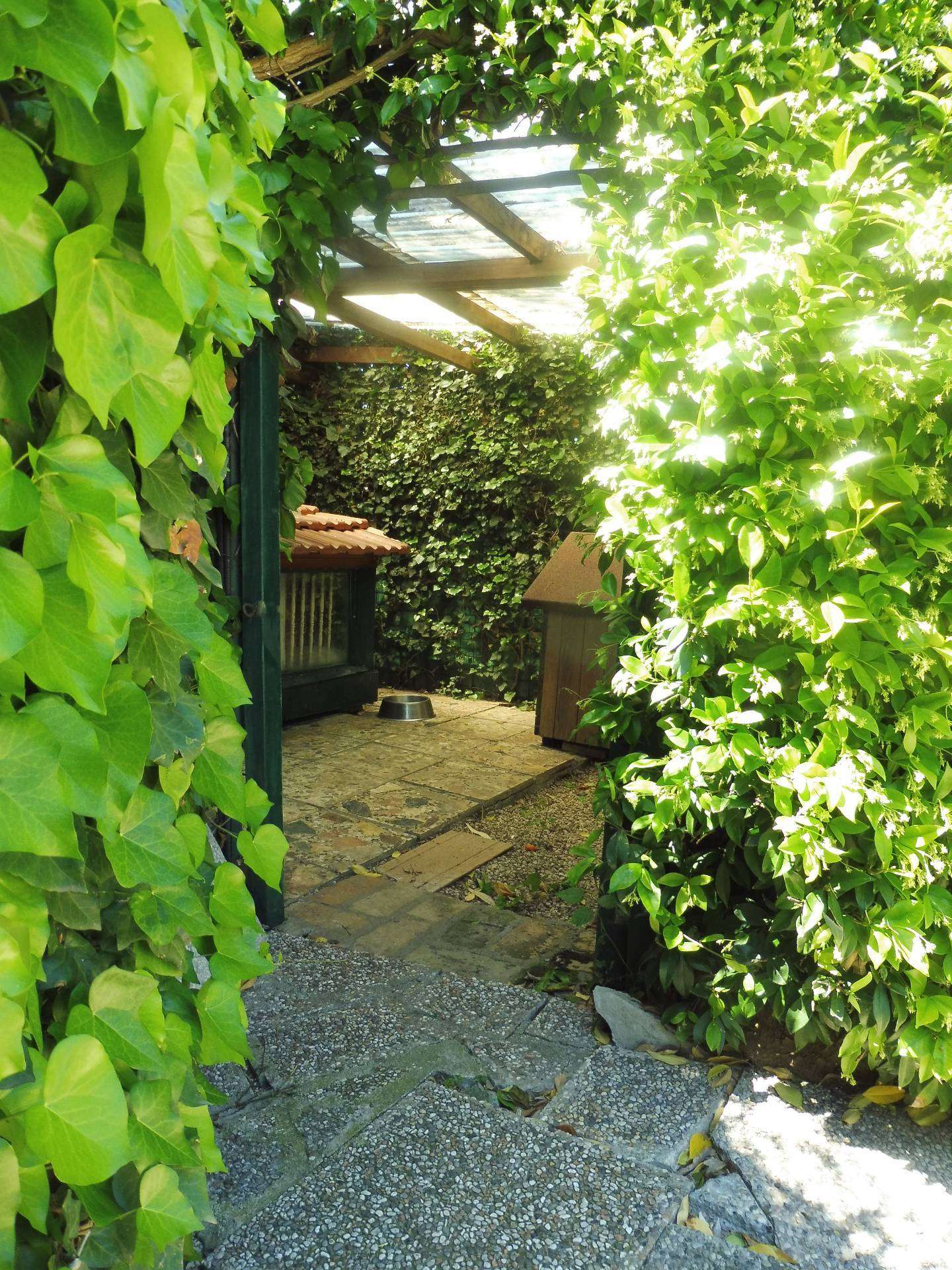  - foto 37