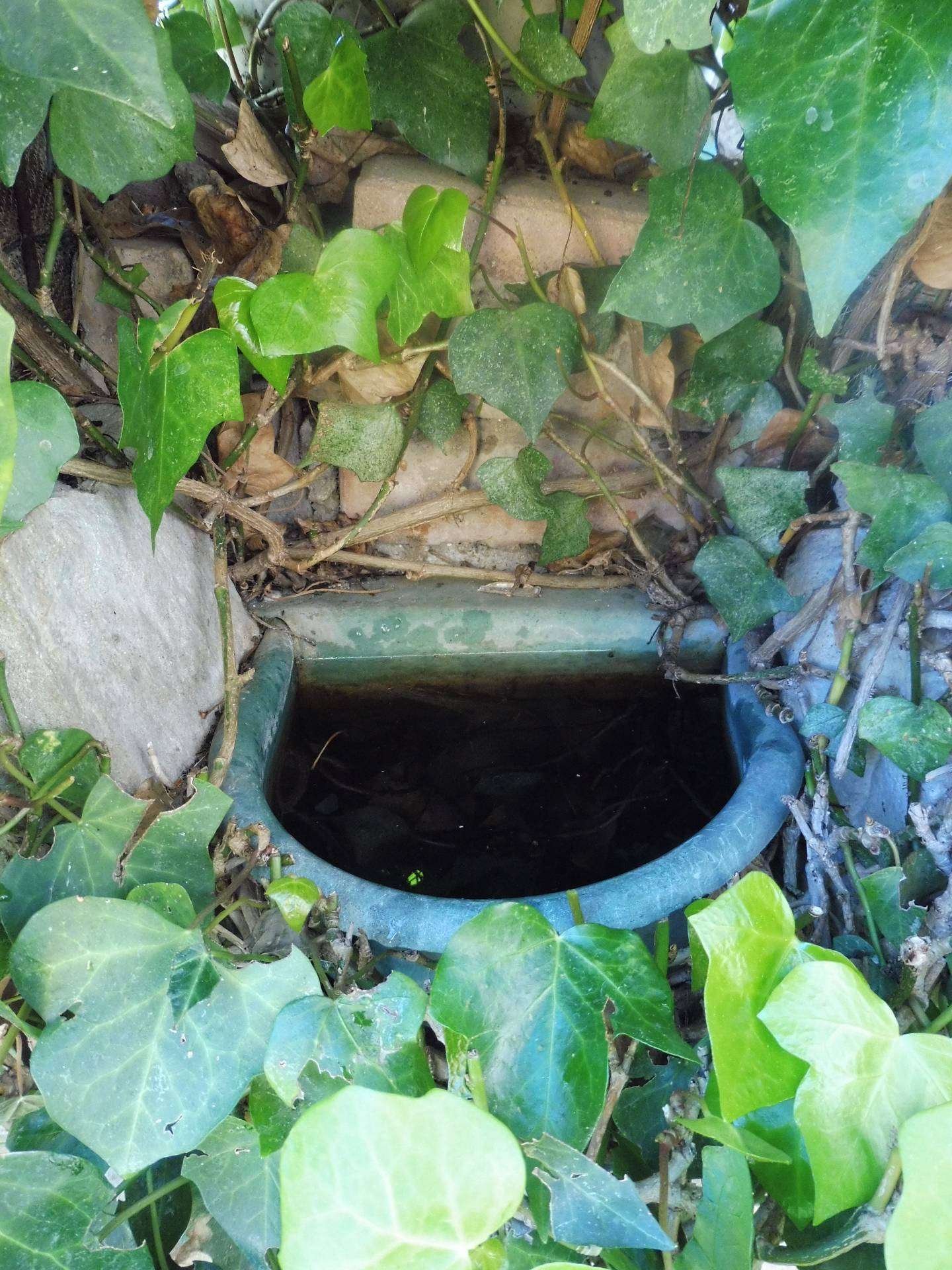  - foto 38
