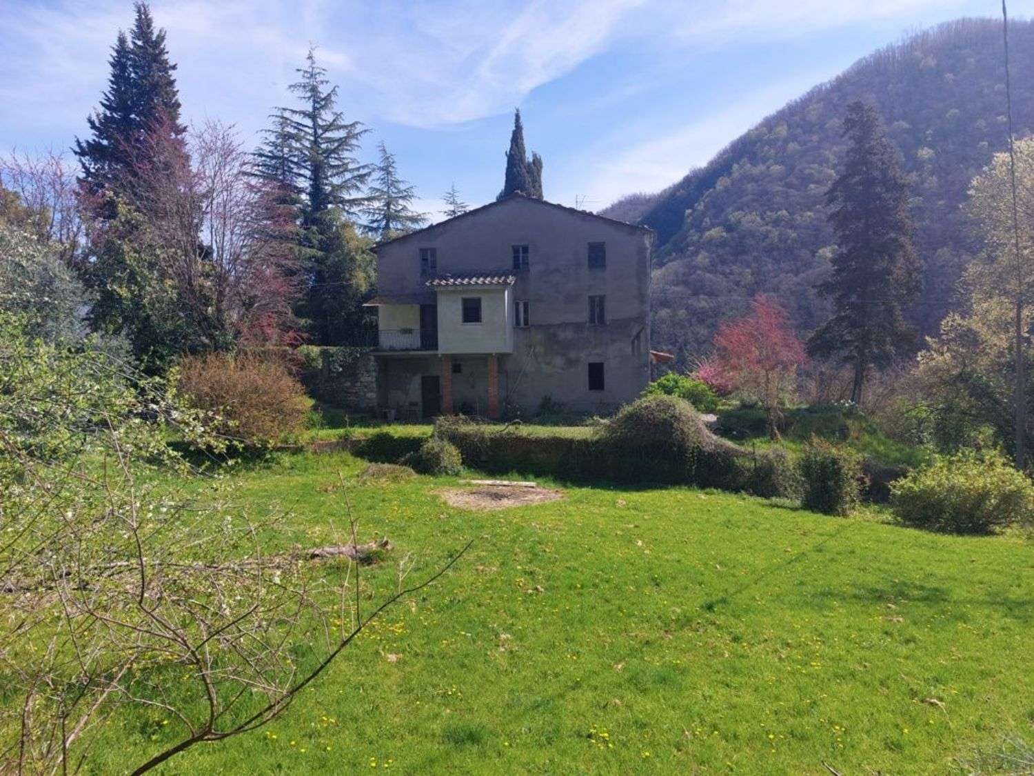 immagine annuncio 6 di 14