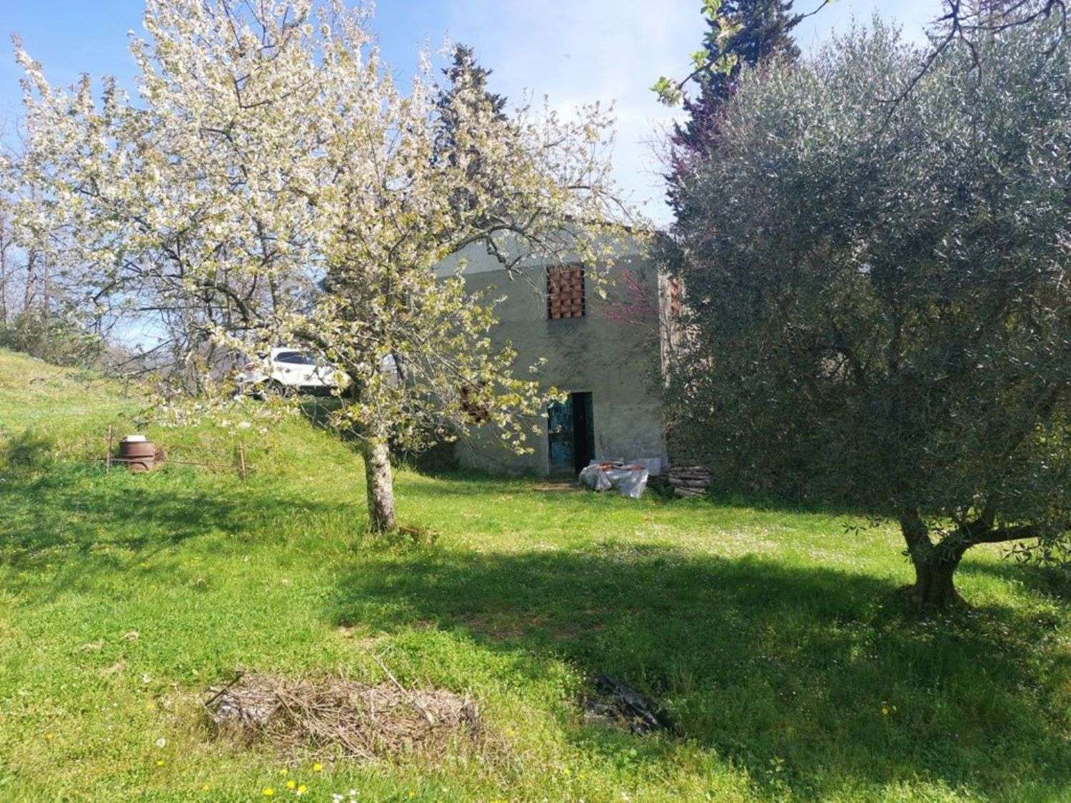 immagine annuncio 7 di 14