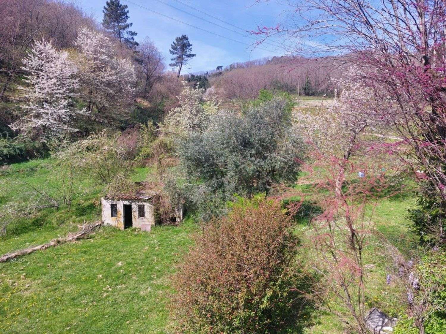 immagine annuncio 10 di 14