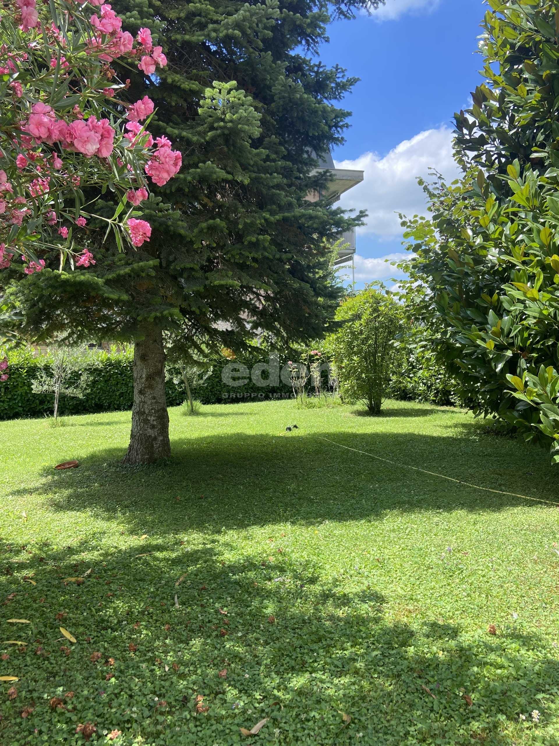  - foto 29