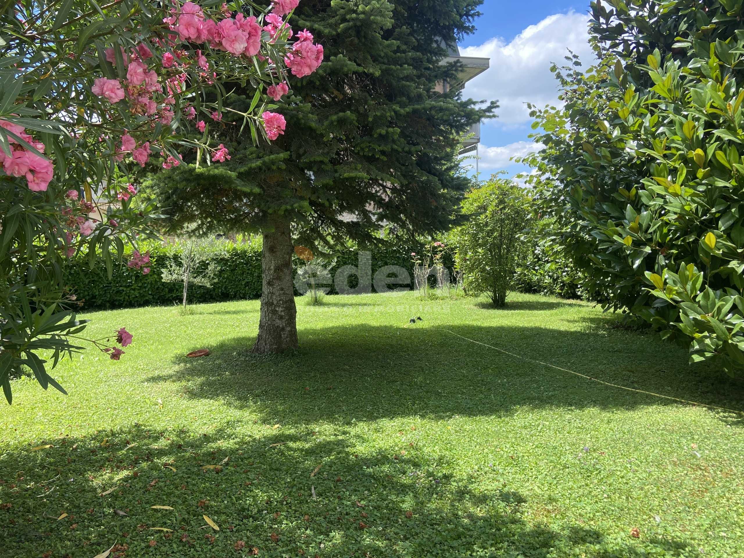  - foto 34