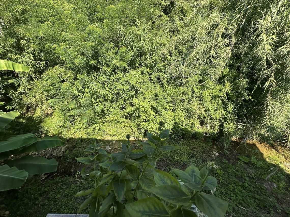  - foto 34