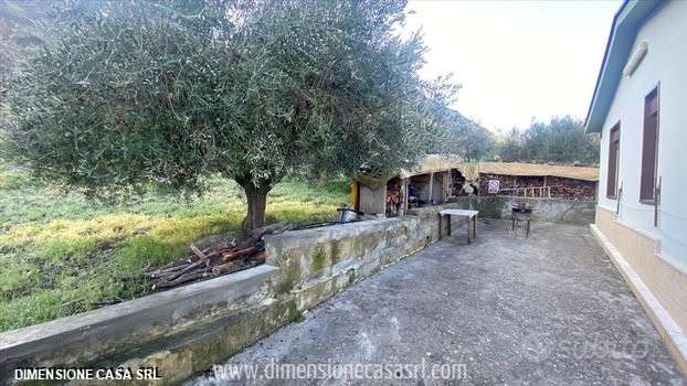 immagine annuncio 6 di 11