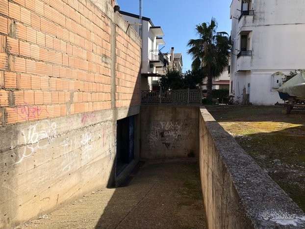 immagine annuncio 4 di 6