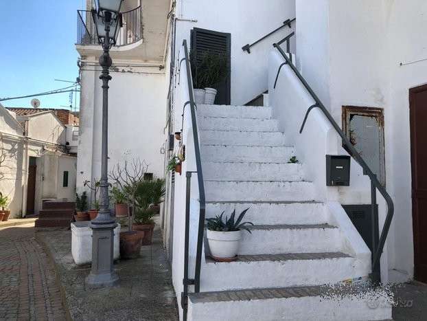 immagine annuncio 5 di 11