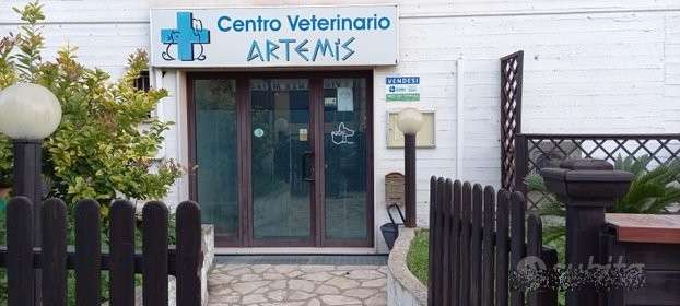  - foto 2