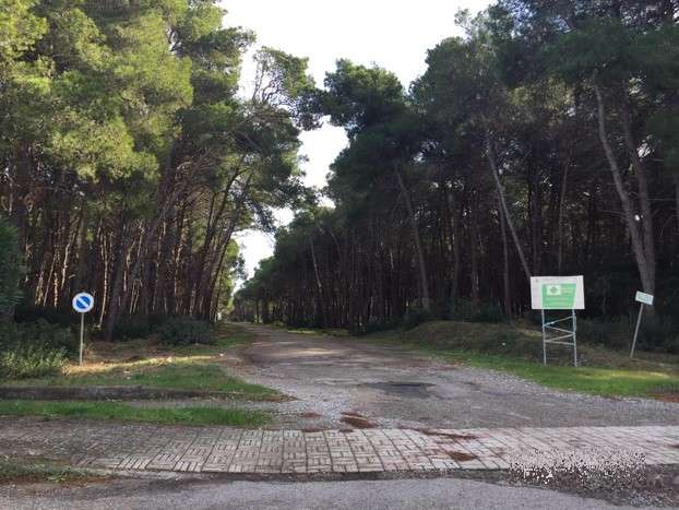 immagine annuncio 4 di 6