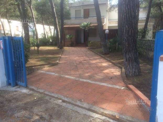 immagine annuncio 9 di 15