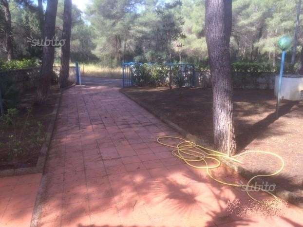  - foto 5