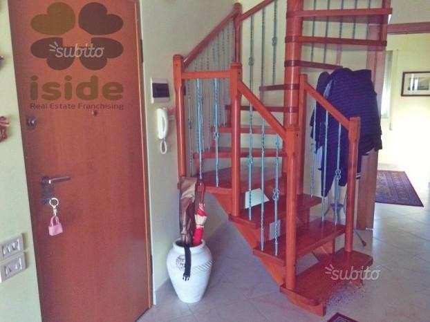 immagine annuncio 12 di 15