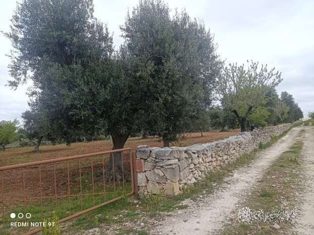 immagine annuncio 3 di 4