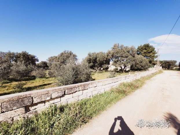 immagine annuncio 6 di 14