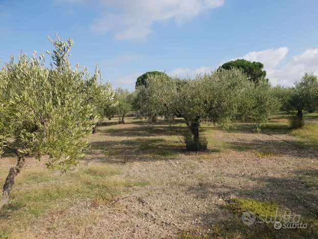 Terreno edificabile, Castelvetrano