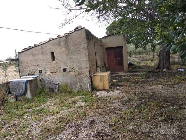 immagine annuncio 3 di 11