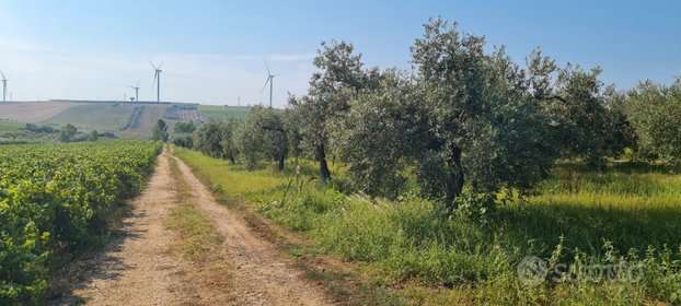 immagine annuncio 9 di 15