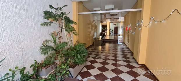  - foto 6