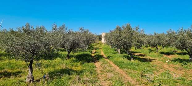 immagine annuncio 8 di 15
