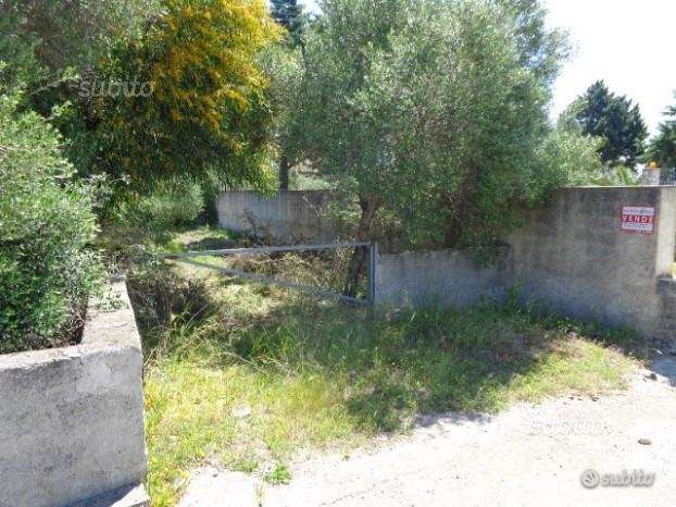 immagine annuncio 3 di 8