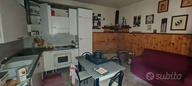 immagine annuncio 12 di 13