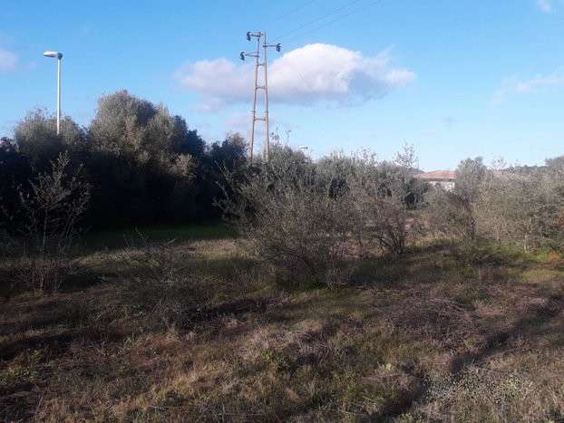 immagine annuncio 1 di 8