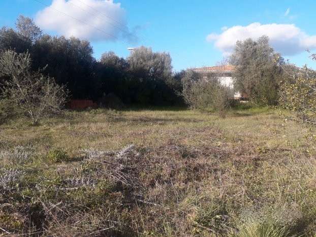 immagine annuncio 4 di 8