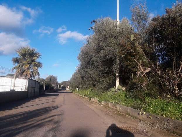 immagine annuncio 5 di 8