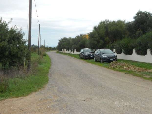 immagine annuncio 3 di 6