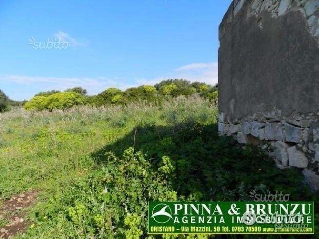 immagine annuncio 9 di 12