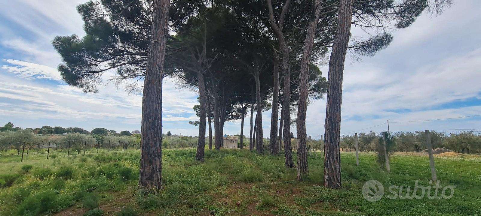 Terreno edificabile Via Natalino Sapegno, Castelvetrano