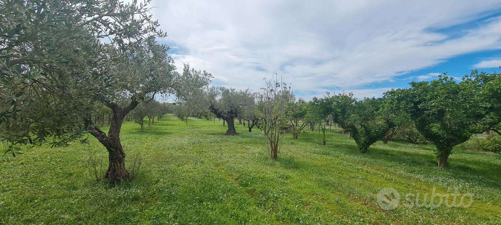  - foto 17