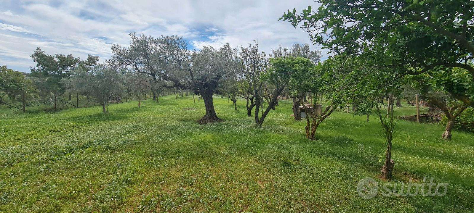  - foto 18