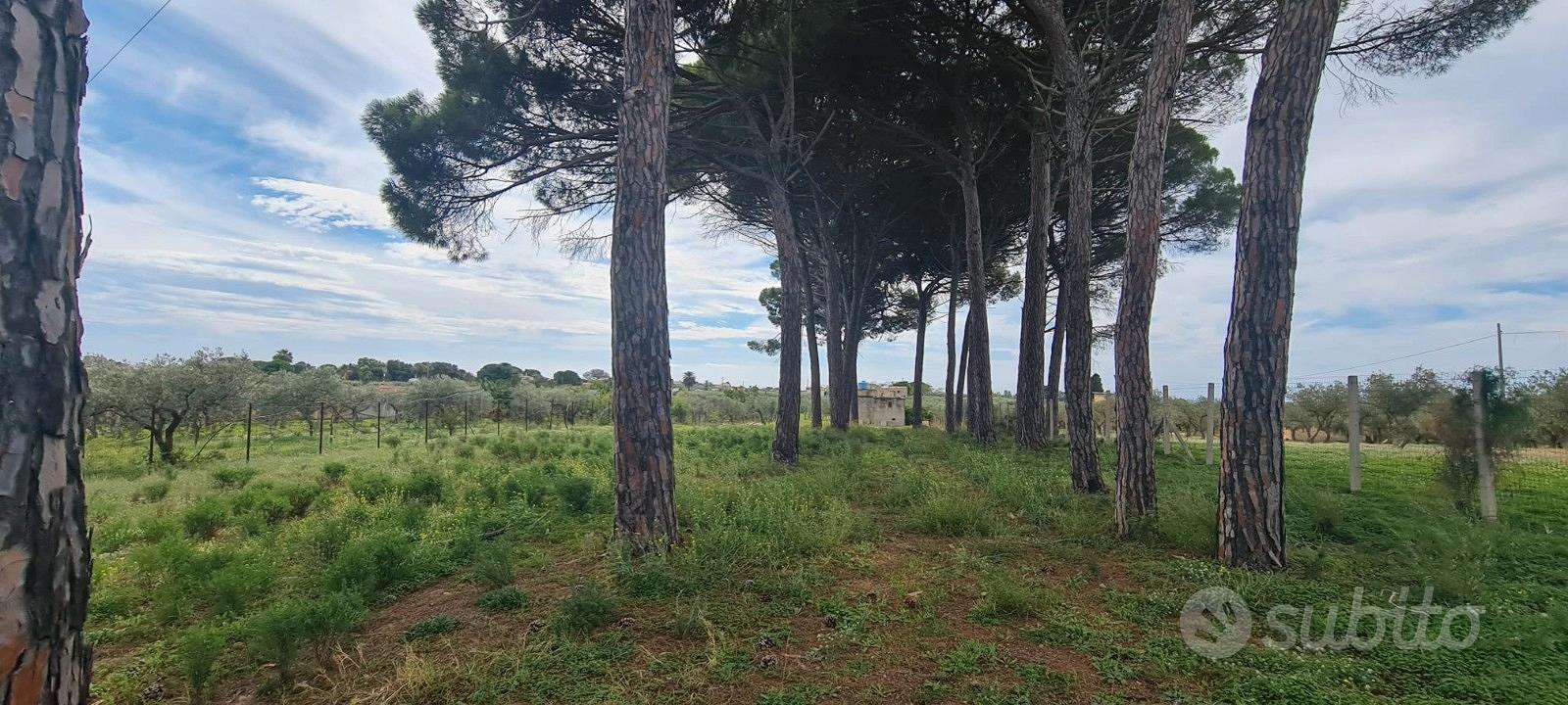  - foto 2