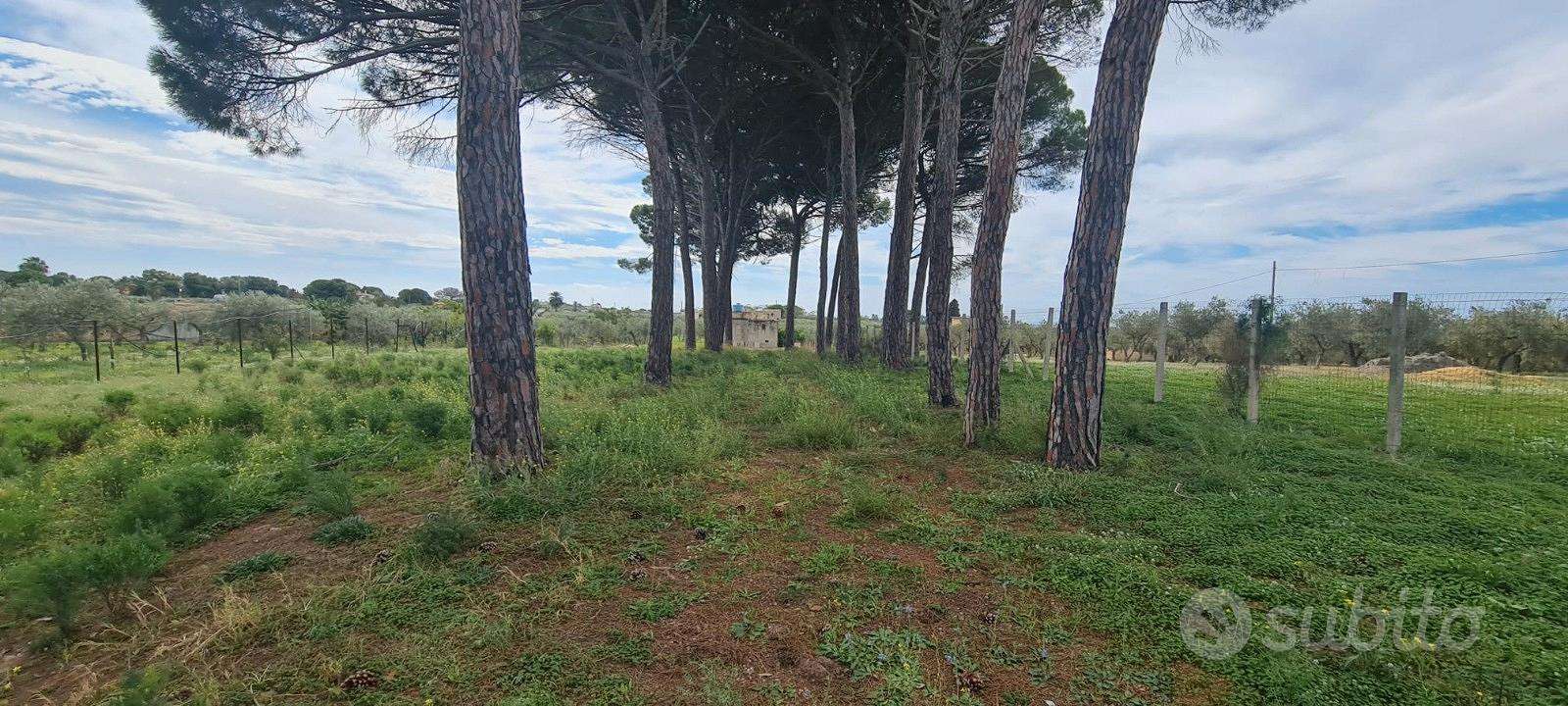  - foto 25