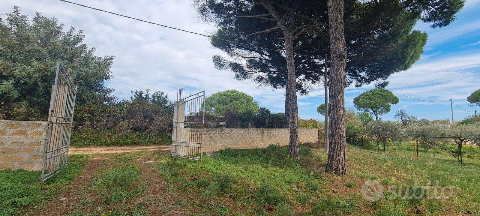  - foto 4
