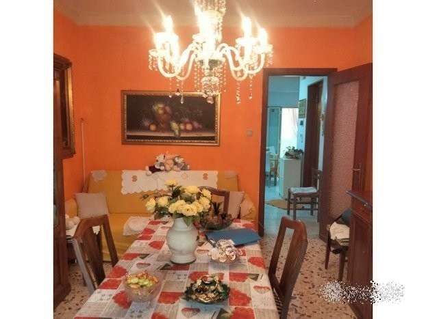  - foto 12