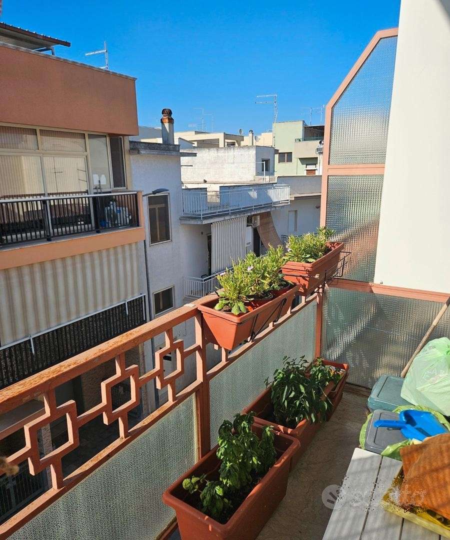  - foto 12