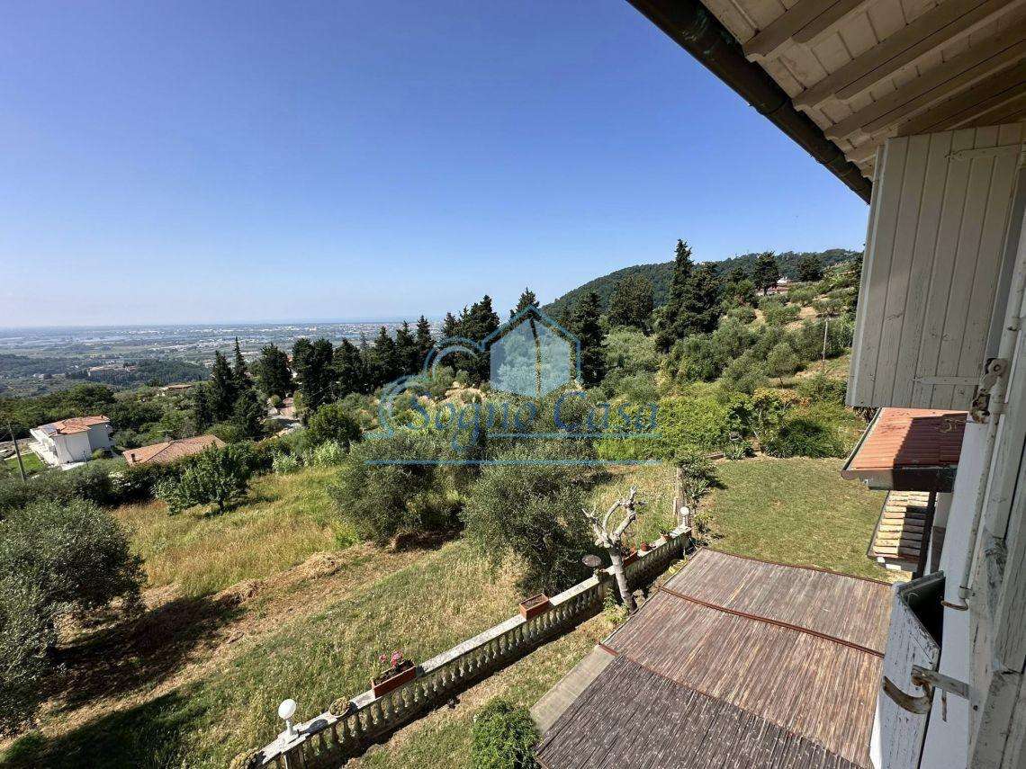  - foto 39