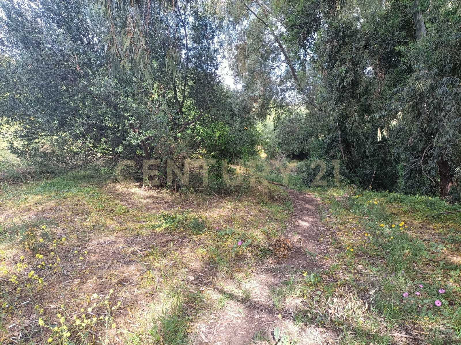  - foto 11