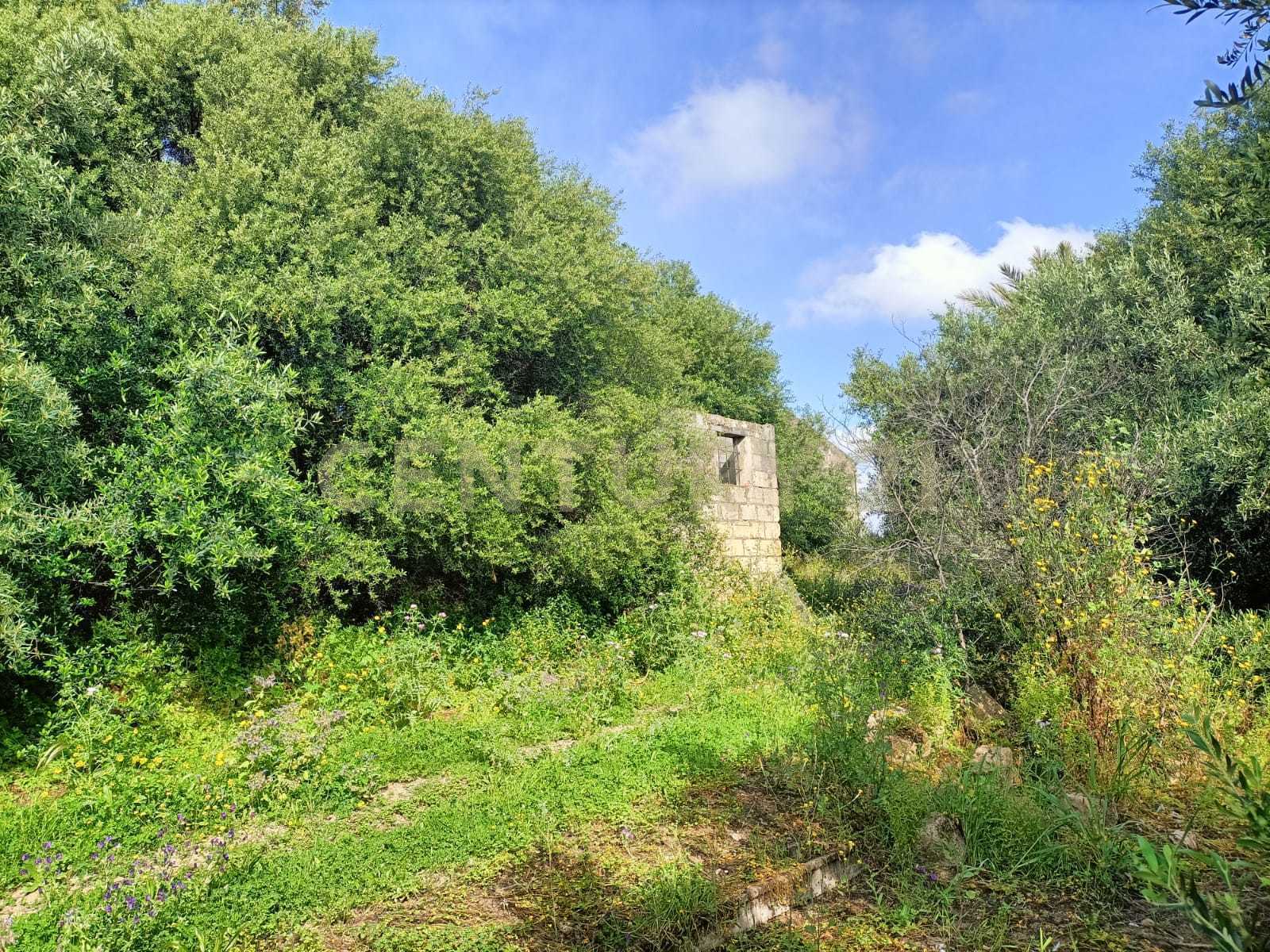 - foto 2