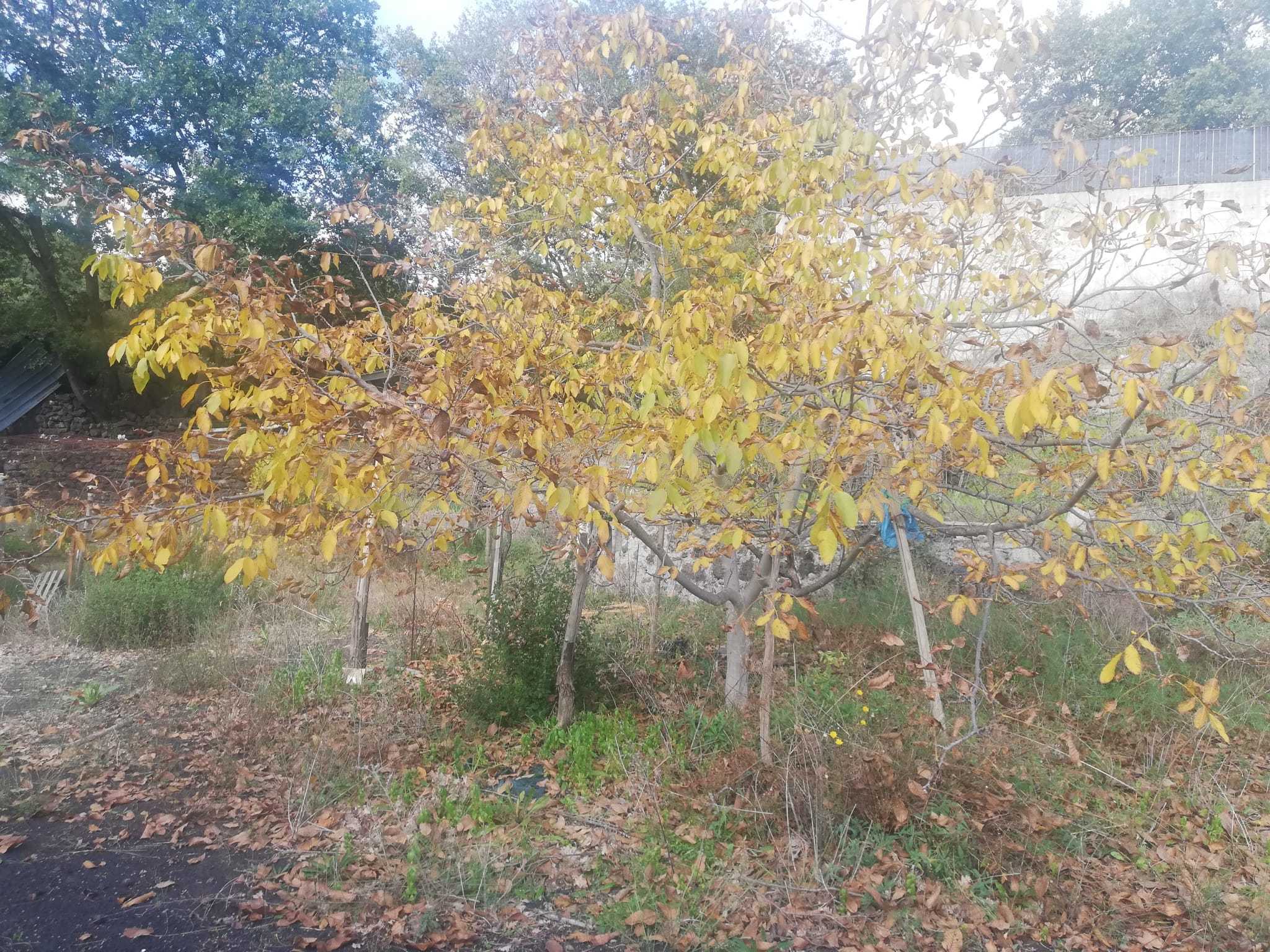  - foto 23