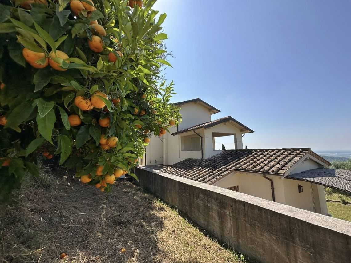  - foto 37