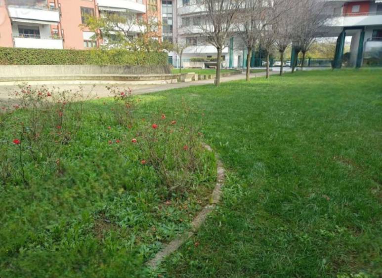 immagine annuncio 1 di 10