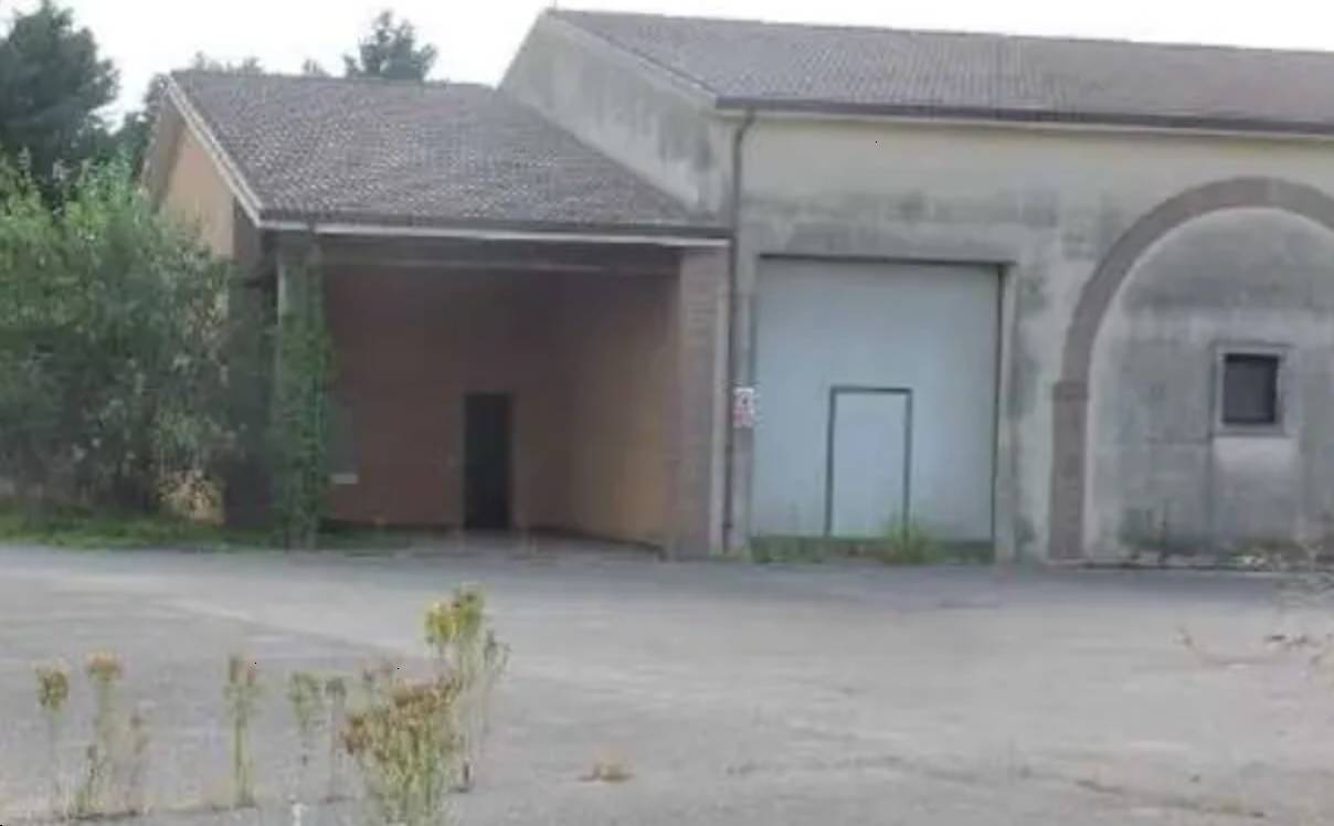 immagine annuncio 2 di 10