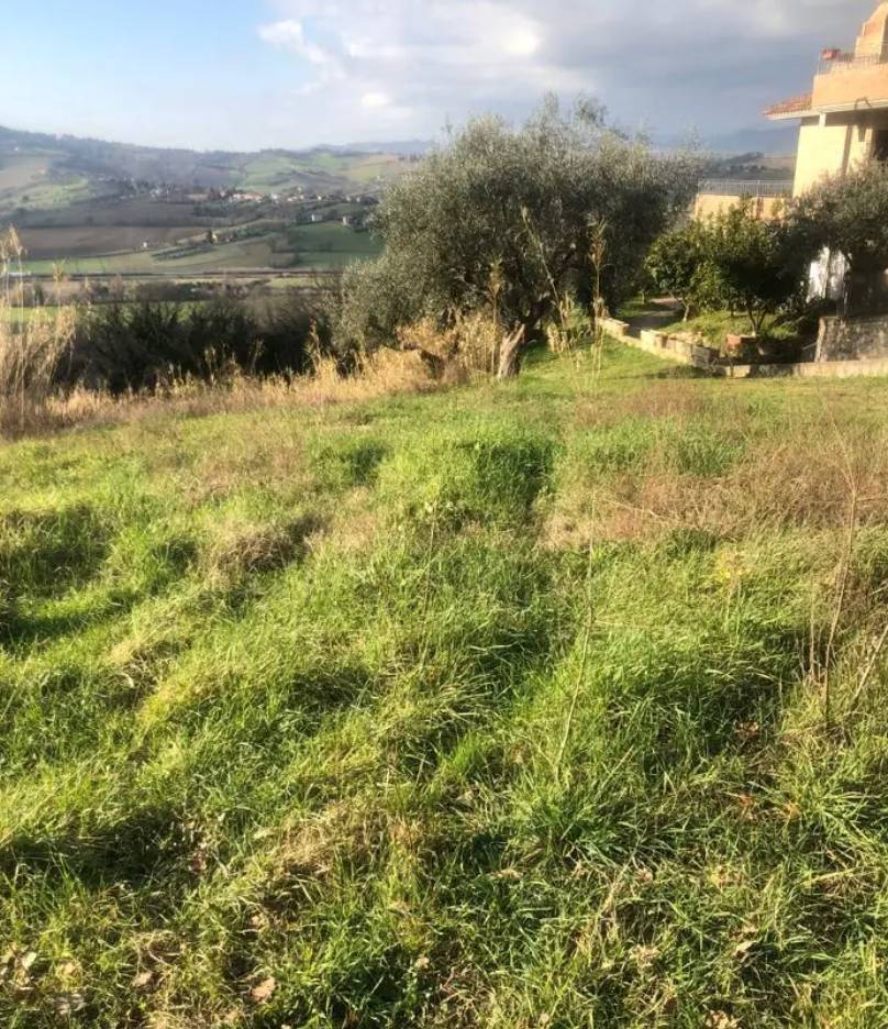 immagine annuncio 2 di 10