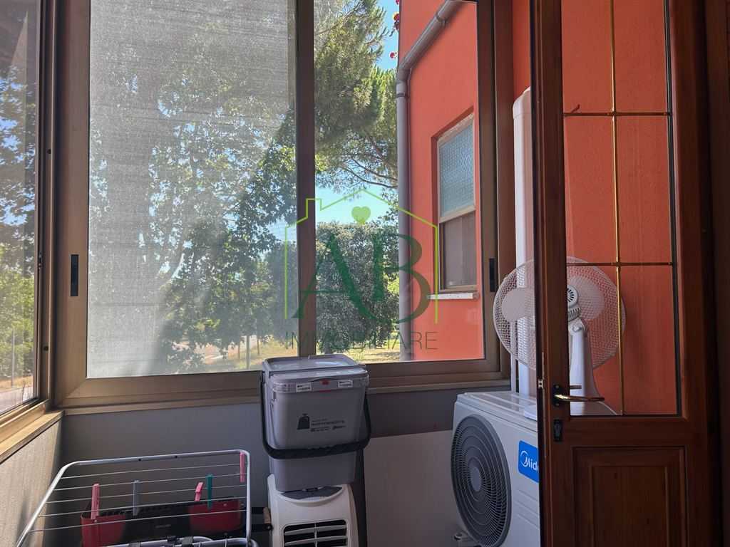  - foto 14