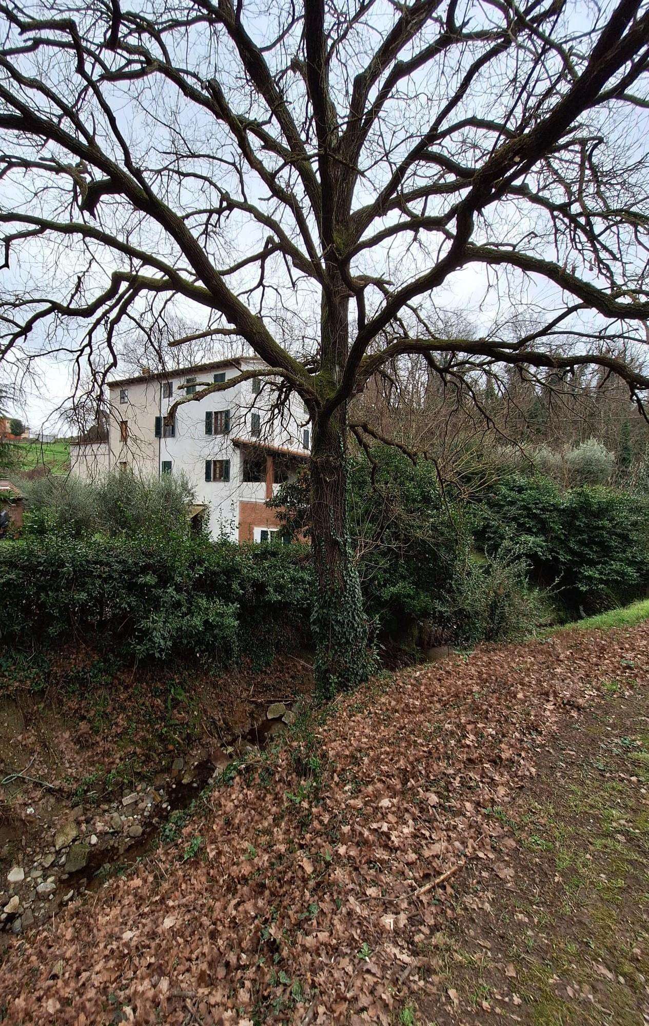  - foto 2