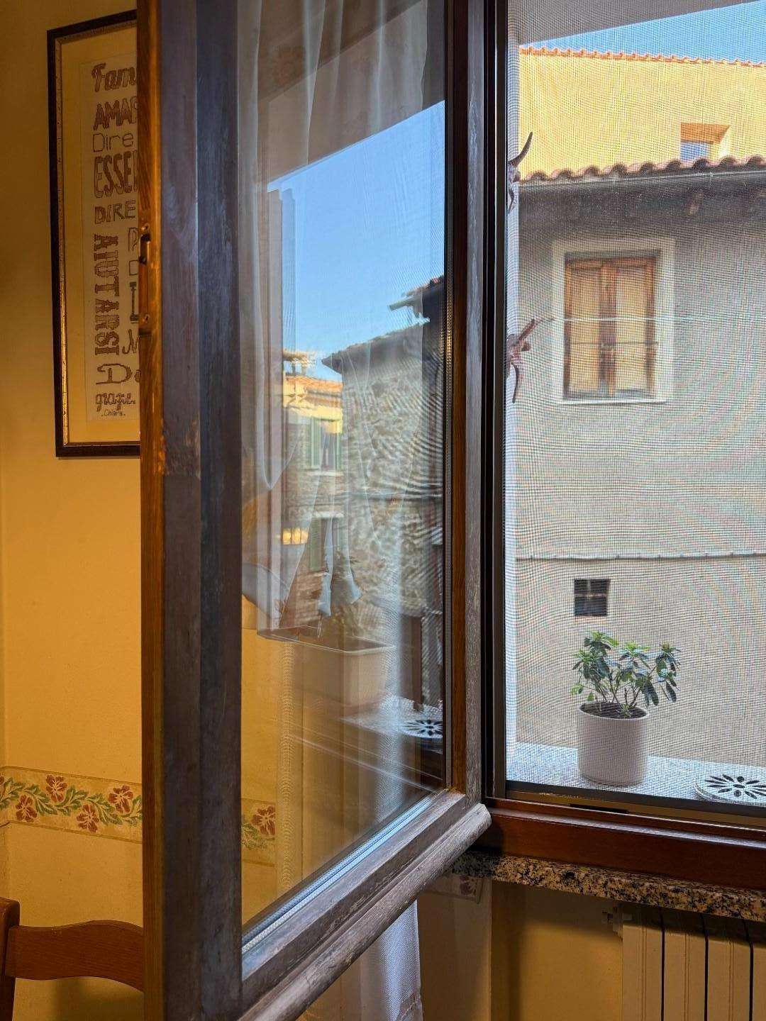  - foto 33
